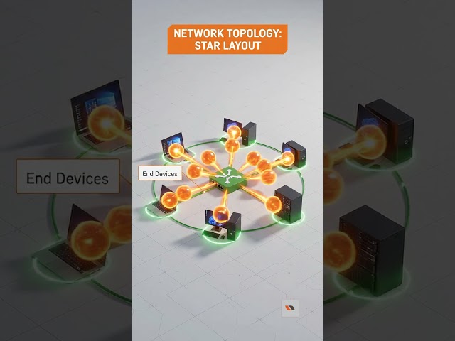 Network Topology Made Easy for Beginners 🚀