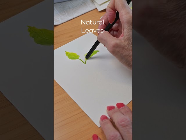 Natural Leaves