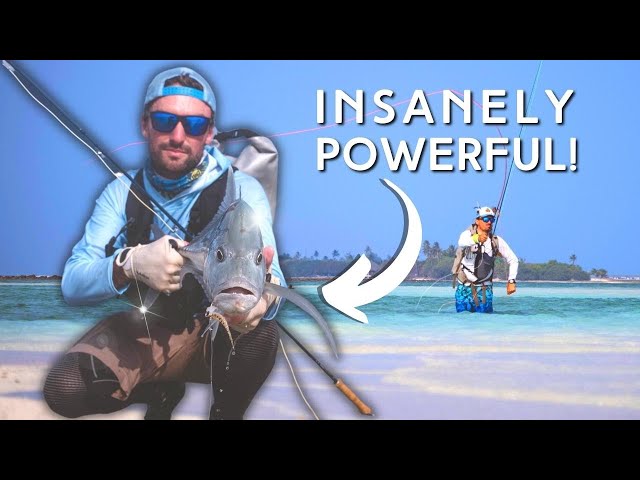 Fishing For SEA BEASTS On Massive Sand Flats (Maldives On The Fly Episode 5)