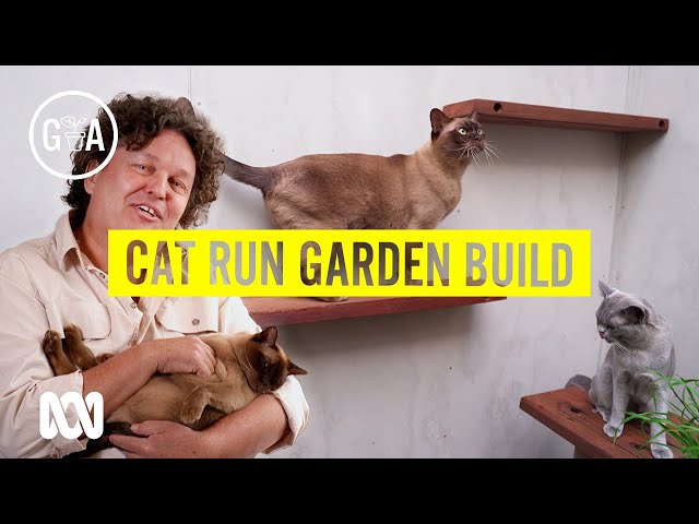 Building a Cat Run Garden That Protects Wildlife | Gardening 101 | Gardening Australia