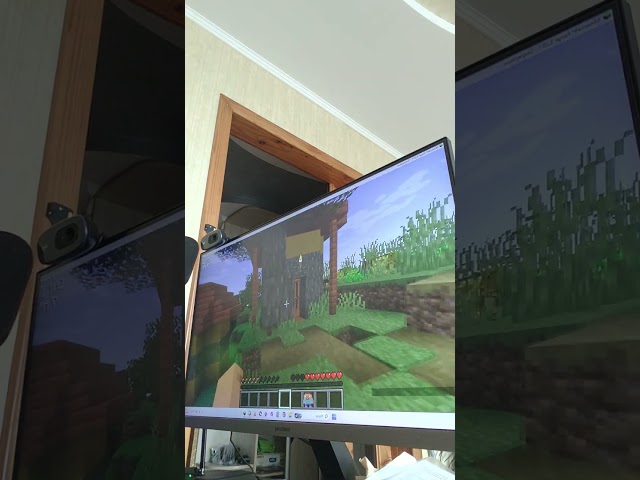 Java edition gameplay