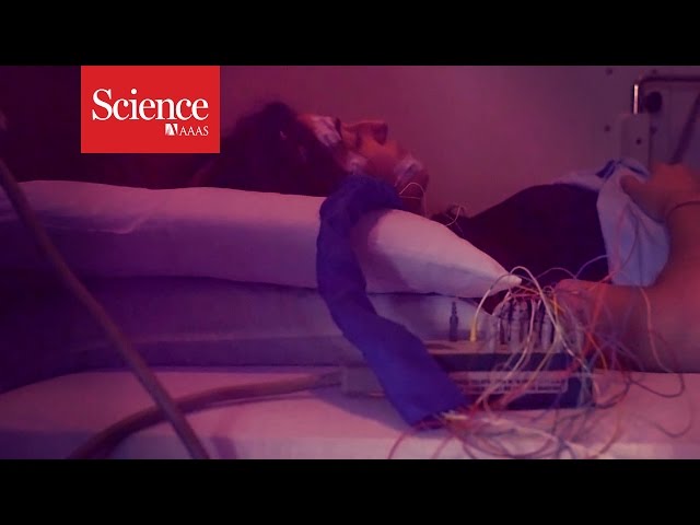 XX Files : Expert dreamers : Elizaveta Solomonova