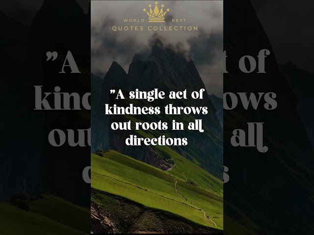Sprinkle Kindness Sparkles: 1 Action, Infinite Joy! Planting a Seed of Smiles!