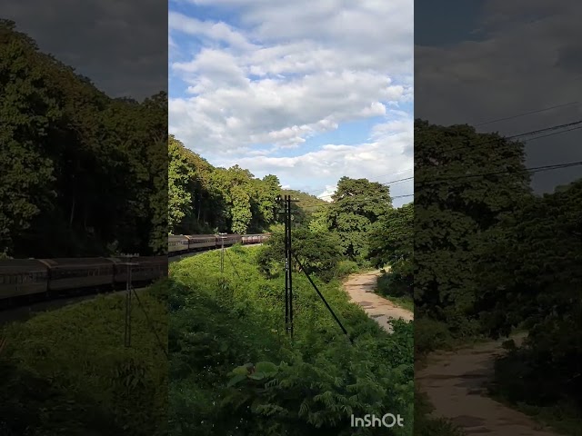 All of Nature Wild & Free #shorts #trainjourney #scenicviews #travel