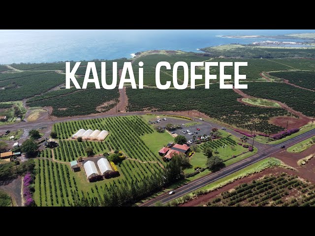 Kauai Coffee Self-Guided Walking Tour with Narrated signs