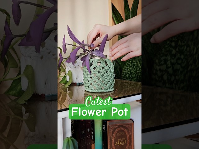 DIY Flower Pot🪴#macrame #macrameknot #macramepattern #handmade #macrametutorial #diy #diyprojects