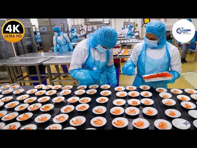 Inside the Factory: How Qatar Airways Preps 200,000 Meals (Full Process)
