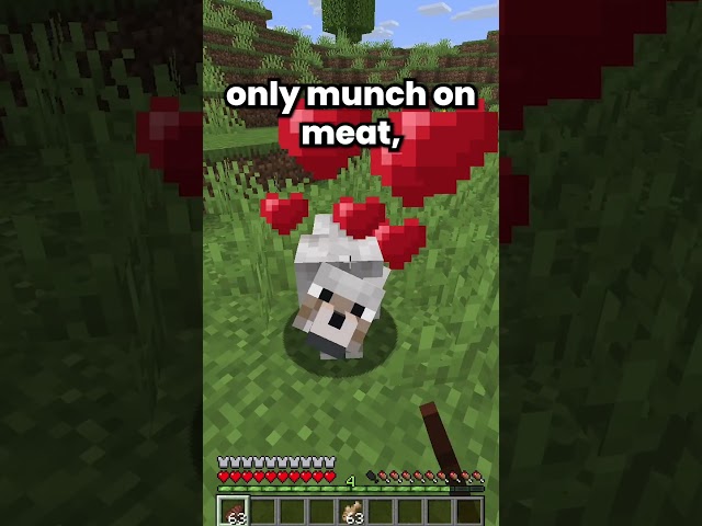 Minecraft facts you definitely missed #minecraft