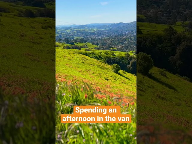 Just an afternoon in the van. #superbloom