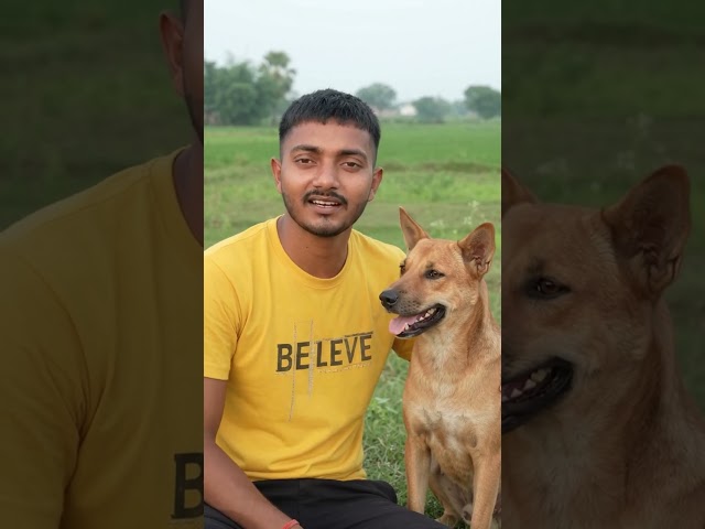 #funny #video #jokes #viral #video #dog