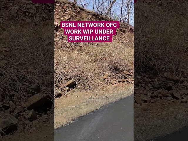 bsnl network gp site work #todayshorts #viralvideo survey bsnl forest