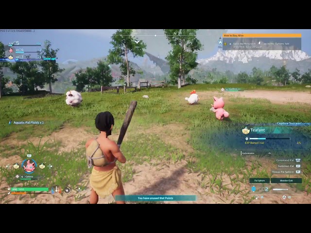 Palworld Stream