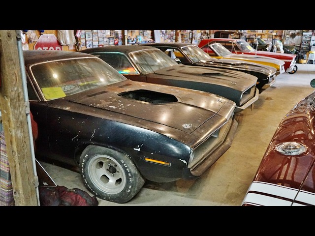 We Uncover a Yard FULL of Mopar Project Cars FOR SALE!