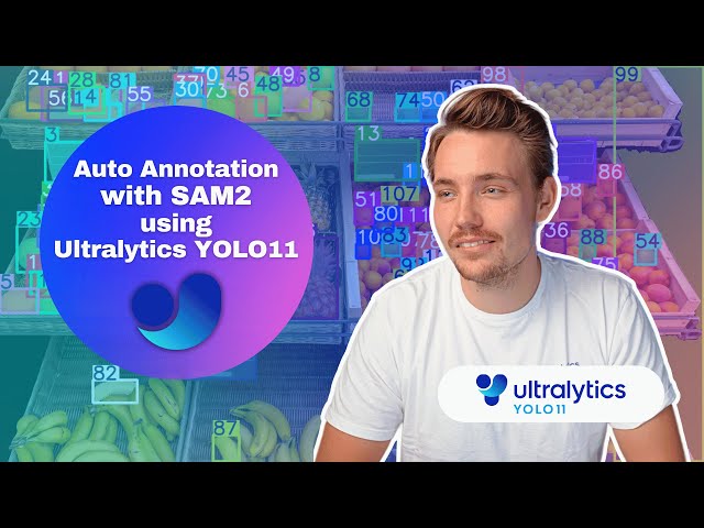Auto Annotation with Meta's Segment Anything 2 Model using Ultralytics | SAM 2.1 | Data Labeling