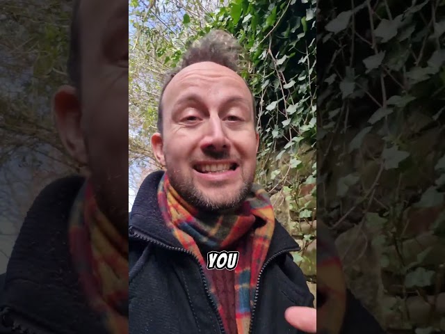 More true facts about Chester for youuuuuuu 🤸🌝