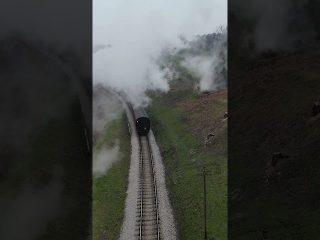 The Chase #kwvr