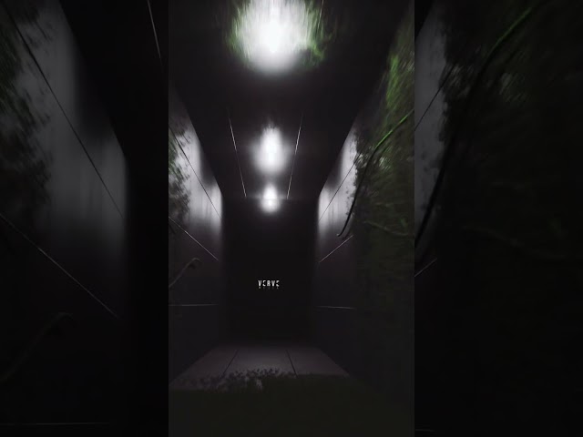 Verve CGI