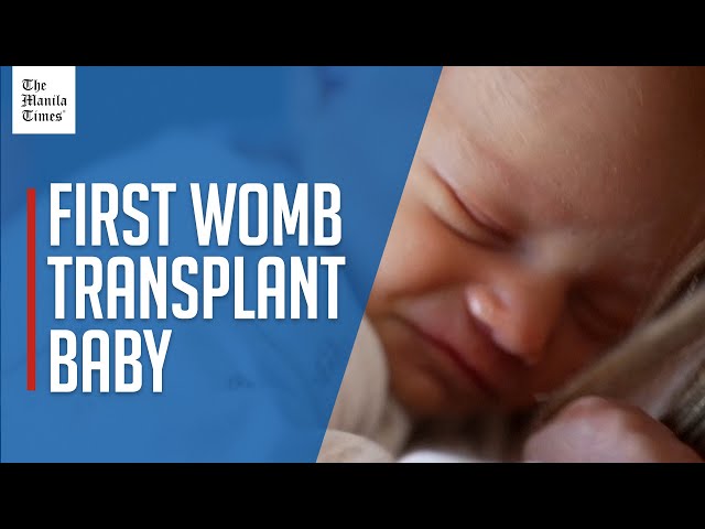 Woman becomes first in UK to give birth after womb transplant