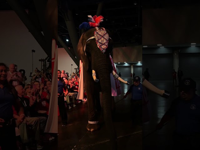 Page the Elephant closes out Gov. Greg Abbott's speech at the Texas Republican convention in Houston