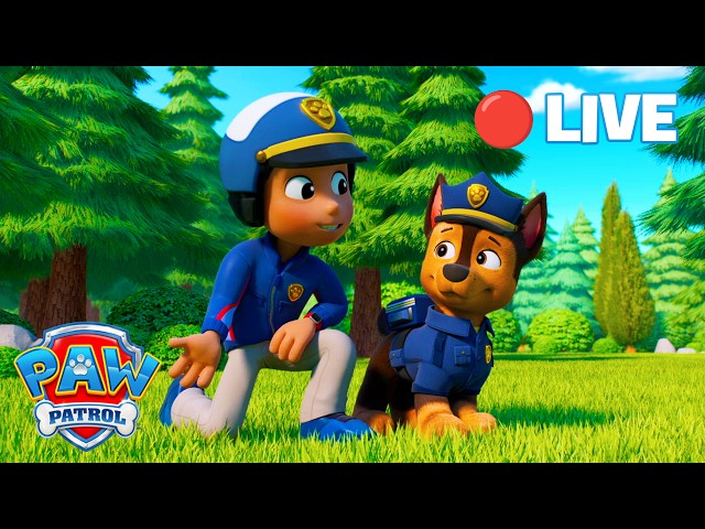 🔴 LIVE! 🚨 PAW Patrol: Die besten Rettungen aus Staffel 12 🐾 Ganze Folgen NON-STOP!