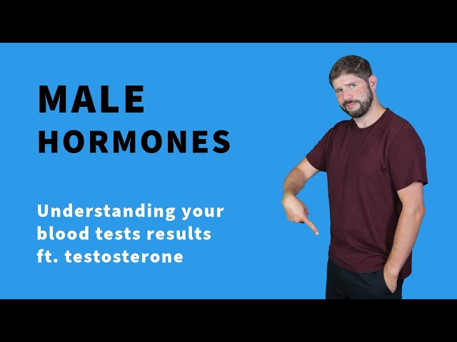 Testosterone blood test explained, and your other male hormones.