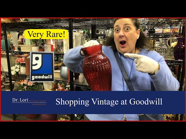 Very Rare! Vintage Thrift Shopping at Goodwill Store with Dr. Lori