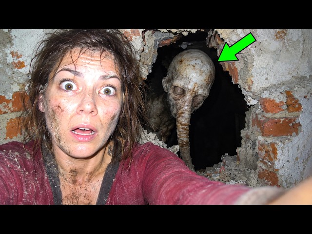 50 Craziest Things Found Hidden in People's Houses That Were Never Meant to Be Seen