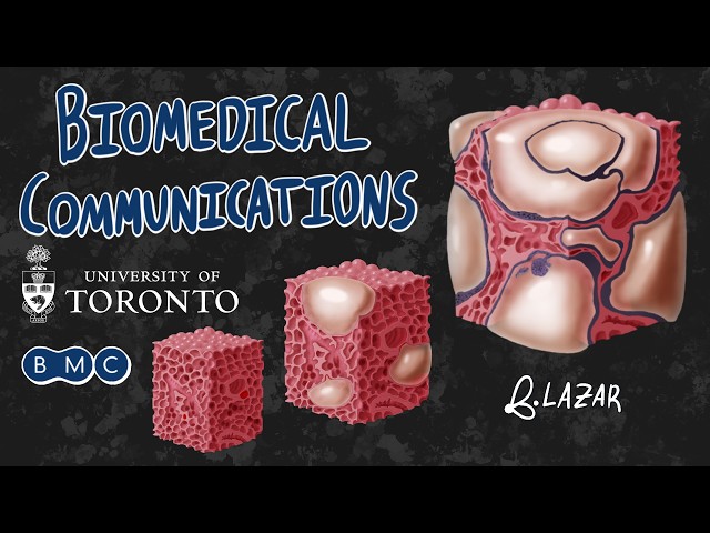 First Week of Classes as a Biomedical Communications Student