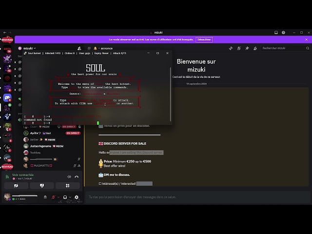 SOUL C2 VS DISCORD VC