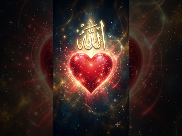 کل کائنات کی سب سے بہترین نام ۔۔۔ #allah #wildlife #muhammad #hafidh #alhaji #thankyouallah