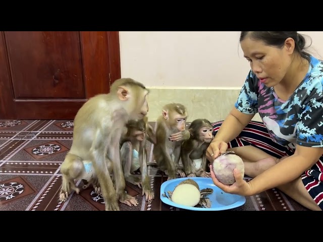 HURRYYY !! Sovan So Hungry Can't Wait Loudly Hurry Mo  Faster Please Mouth Watering So Much !
