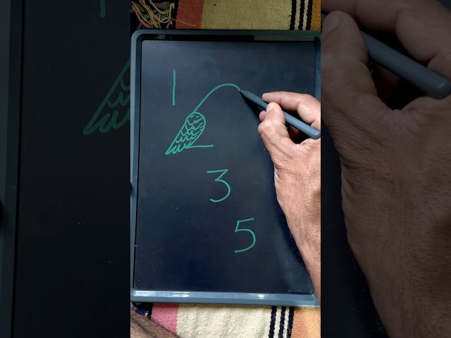 Birds drawing tutorial for beginners ||🎨😳 #birdart #birdsketch #easydrawing