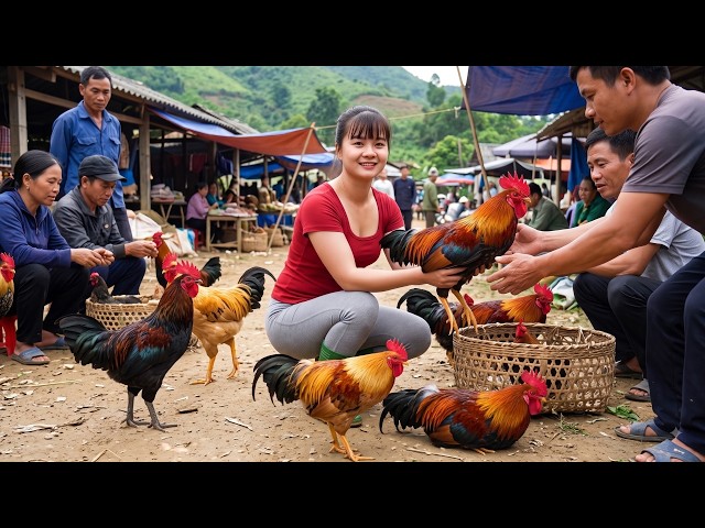 Harvesting Lots Of Roosters To Sell At Village Market | Building A New Cage To Raise Quails