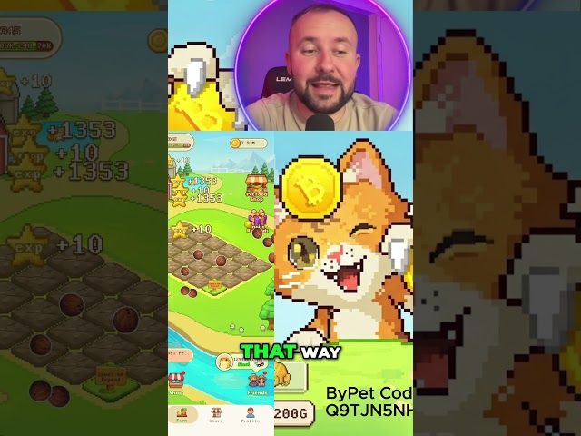 ByPet Strategy Fast Upgrades with Coconuts