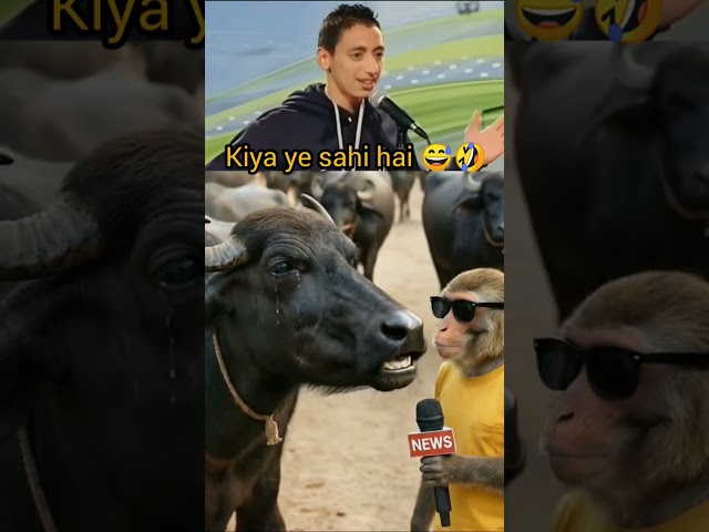 What happen 😭 buffalo 🐃 #cartoon #trendingshorts #trend #shrots #buffalo #funnyshorts
