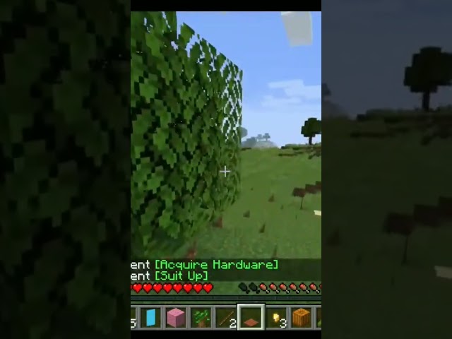BOYS WE HUNTING COWS