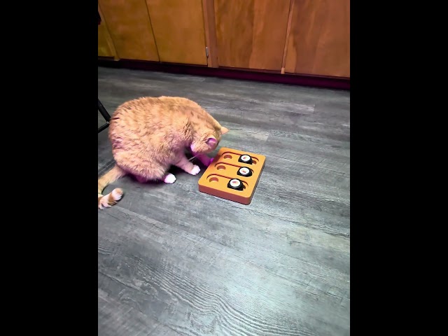чувак в отрыве😸