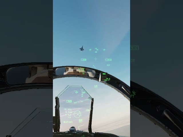 DCS F-18 vs Su-27 Firey Death -  SU 27 Flanker Does Not Survive The Hornets Abilities. #shorts