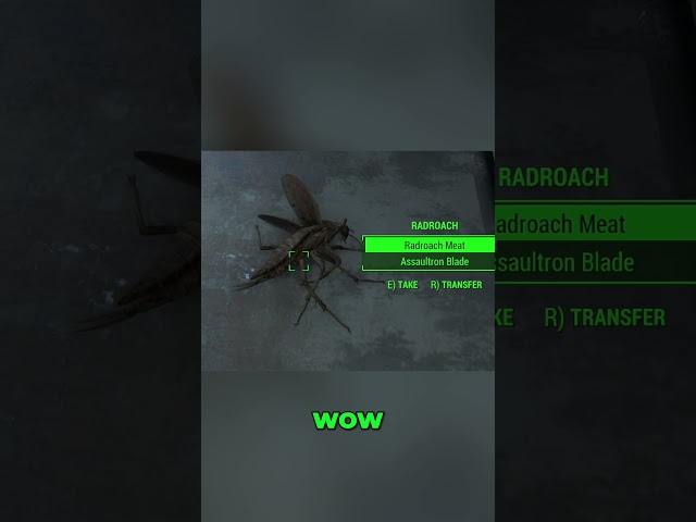 Fallout 4 With Random Loot Is INSANE   #fallout #fallout4  #gaming