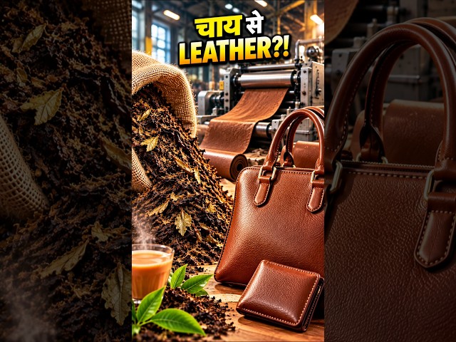 चाय से Leather?!😱ये कैसे बनता है? | Amazing Waste Innovation #teawaste #leather #shorts #zerogarbage