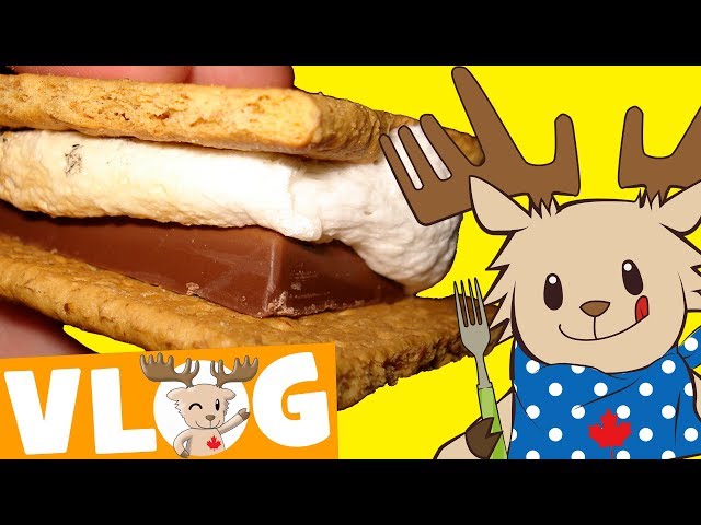 Let's Make S'mores! | Marty's Vlog