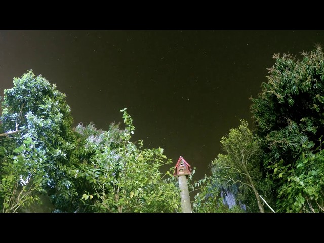 Casa do pássaro - Night Lapse
