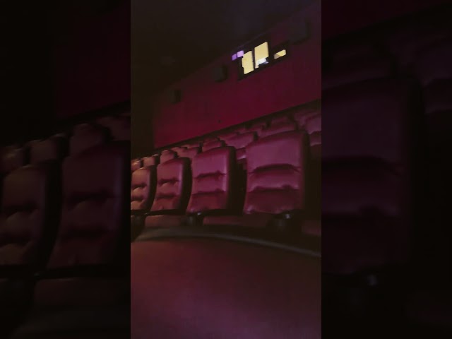 EVERYONE IS WORKING ??