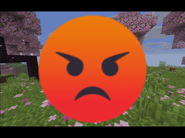 Teleporting To Random People On The DonutSMP