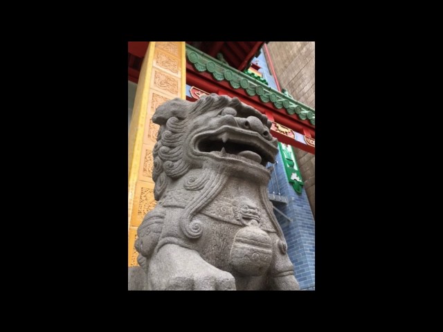 A Walk in Chinatown