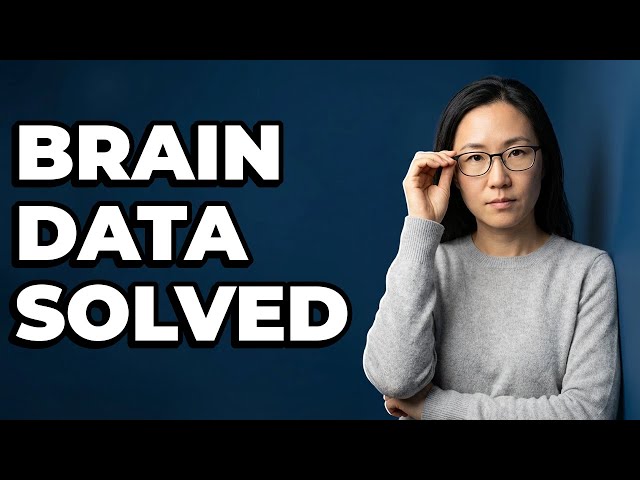 Why Is AI Needed For Large Neuroscience Datasets?