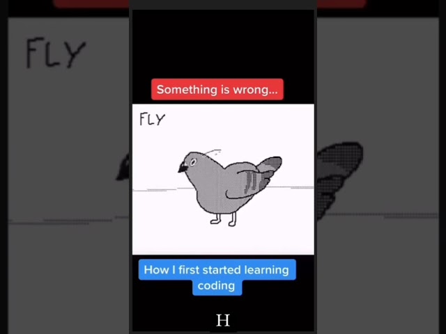 When Something is Wrong in the code π₯π