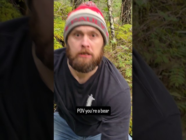Guy Confronts A Bear #bear #animals