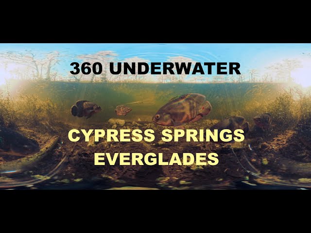 CAMERA DROP on LOOP ROAD with Turtles and OSCARS! - 360 RAW FOOTAGE