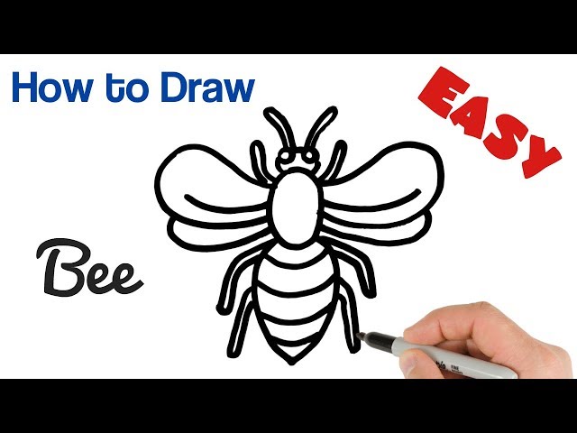 How to Draw a Bee Step by Step